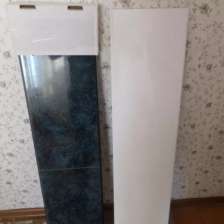 Tembok Khusus sareng Panel Plastik (80 poto): Gagasan Desain Interorsi sareng PVC Tembok PVC, pilihan kanggo Tresing sisik bodas di susun 10506_35