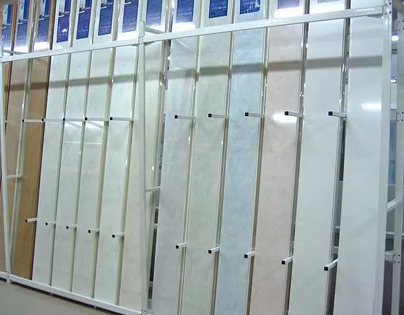 Tembok Khusus sareng Panel Plastik (80 poto): Gagasan Desain Interorsi sareng PVC Tembok PVC, pilihan kanggo Tresing sisik bodas di susun 10506_36