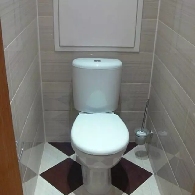 Toiletstijlen (50 foto's): toiletten in Scandinavische stijl en Provence-stijl, hightech en ecosyl, in zee, rustieke en andere stijlen 10507_10