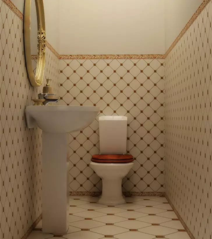 Toilet Styles (50 Mifananidzo): Zvimbudzi mu Scandinavia System uye Provence Symbol, High-Tech uye Ecosyl, mugungwa, mamwe magirazi 10507_13