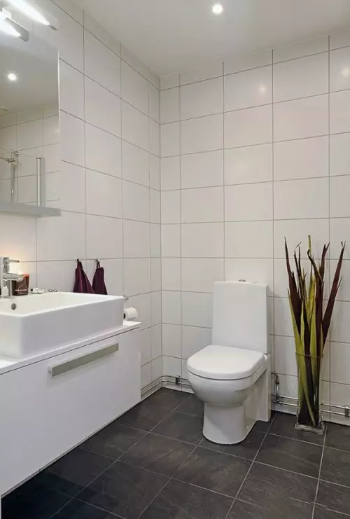 Style toalety (50 zdjęć): toalety w stylu skandynawskim i stylu Prowansji, High-Tech and EcoSyl, w morzu, rustykalnym i innym stylu 10507_23