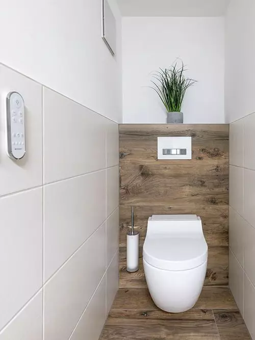 Toilet Styles (50 Mifananidzo): Zvimbudzi mu Scandinavia System uye Provence Symbol, High-Tech uye Ecosyl, mugungwa, mamwe magirazi 10507_5
