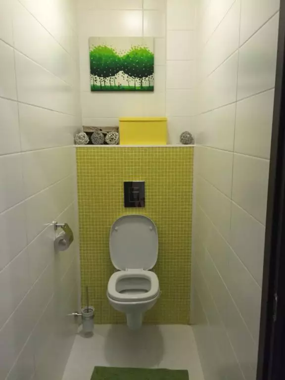 WC školjke (50 fotografija): toaleti u Scandinavskom stilu i Provence stilu, high-tech i ecosil, u moru, rustikalni i drugi stilovi 10507_6