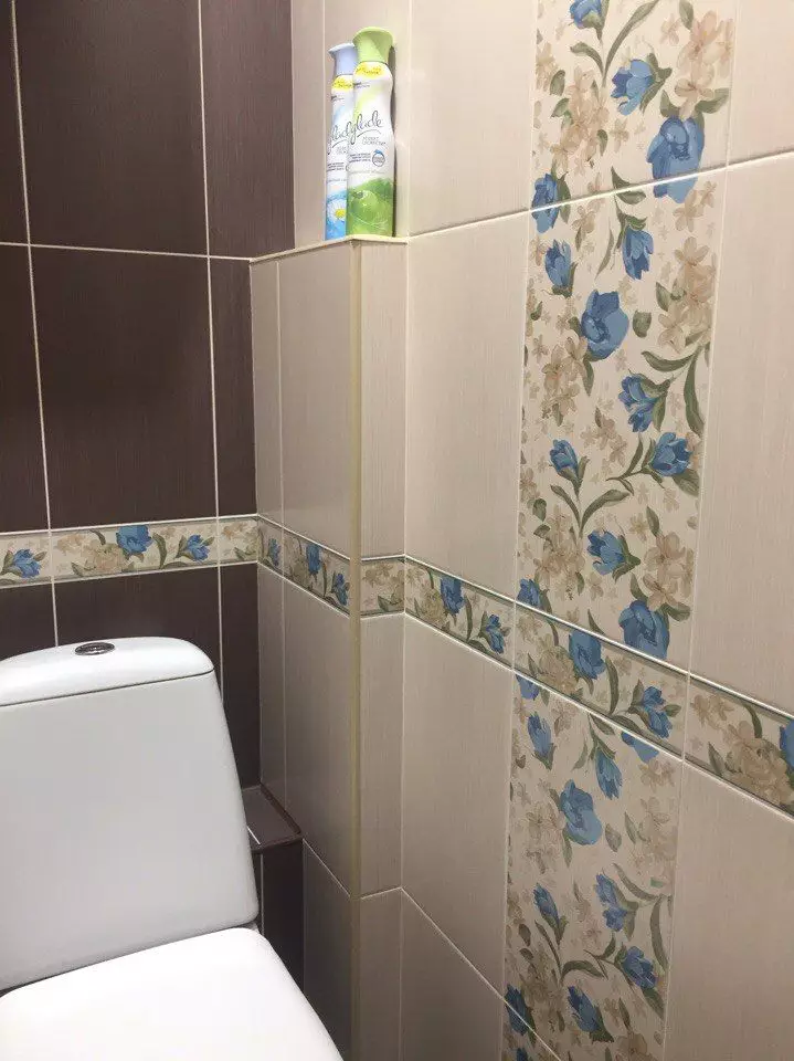 Dlaždice v záchodě (67 fotografií): Dlaždice v designu WC, keramické a dlážděné povrchové úpravy se zdi vzorem, stěna mozaika 10509_45