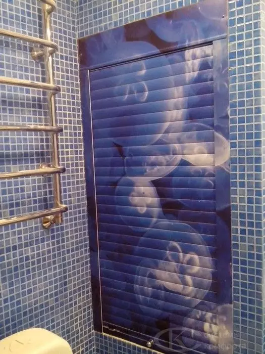 Дәретханадағы роликті жапқыштар (78 фотосурет): ванна бөлмесіне арналған фотосуреттер, дақылдар үлгісі бар роликті жапқыштардың өлшемдері бар дайын жиынтықтар 10510_55