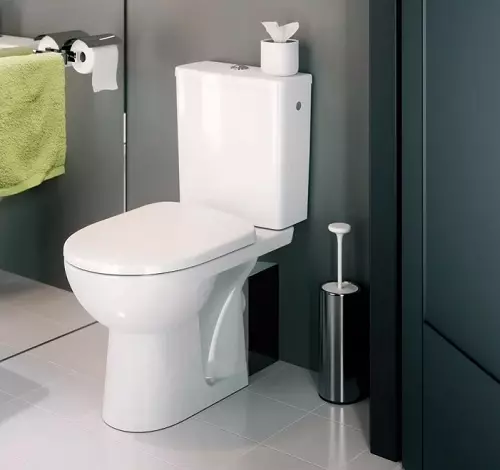 IFO Toalety: Recenzia Frisk a Arret, Cera a Sign, špeciálne a Hitta modely. Kompaktné, prívesy a iné návrhy 10511_10