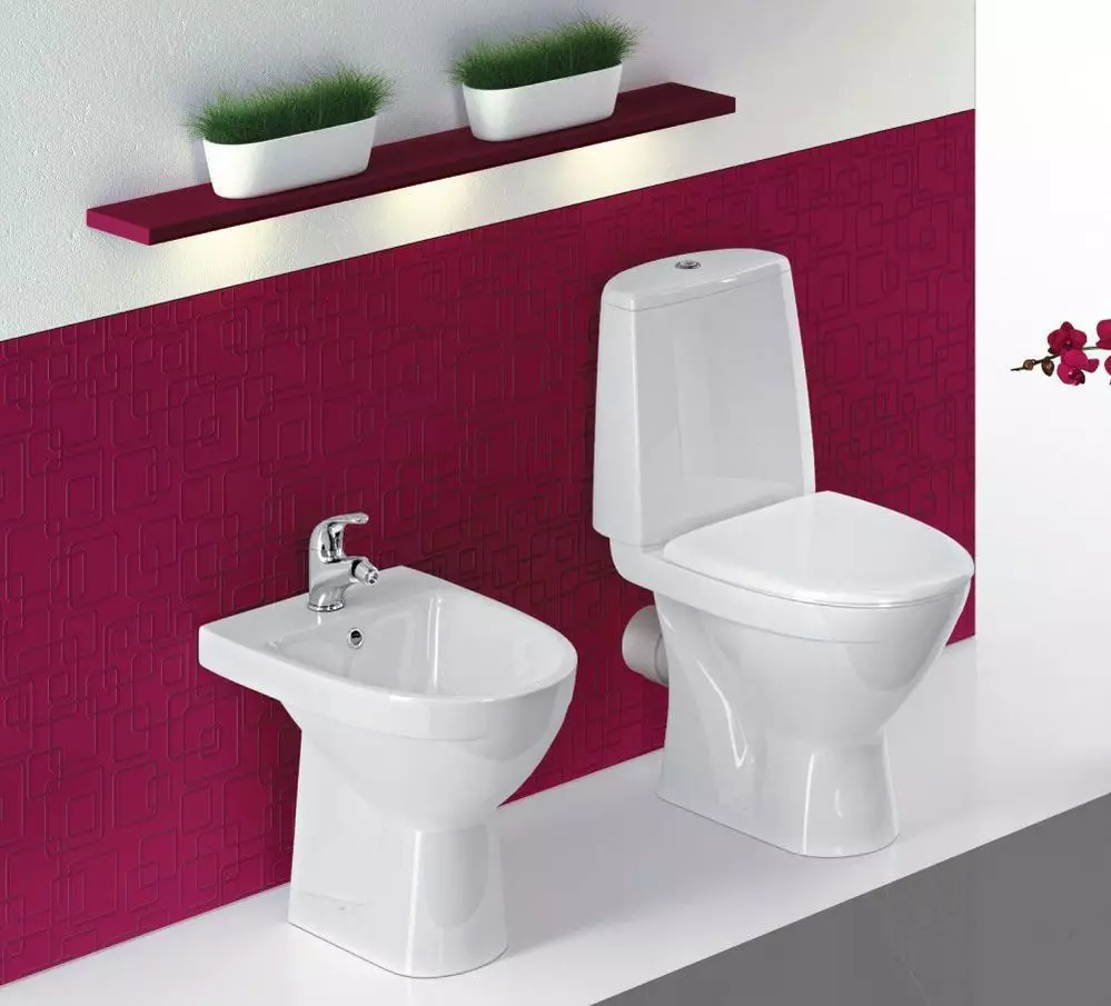 Ifo toaletter: granskning av Frisk och beteckning, Cera och Sign, Special och Hitta modeller. Kompakt, utombordare och andra mönster 10511_2
