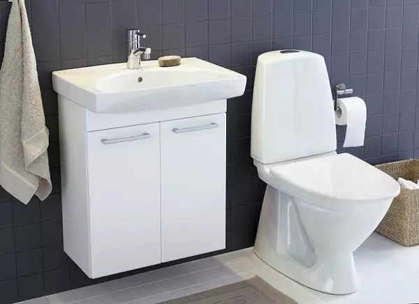 Ifo toaletter: granskning av Frisk och beteckning, Cera och Sign, Special och Hitta modeller. Kompakt, utombordare och andra mönster 10511_23