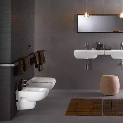 IFO toaleta: pregled Frisk i Arret, Cera i potpisati, specijalne i Hitta modela. Kompaktan, vanbrodski i drugih dizajna 10511_26