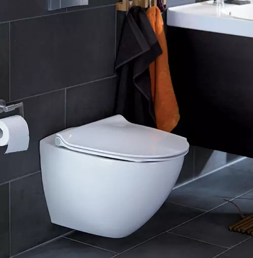 IFO ტუალეტის რაოდენობა: მიმოხილვა FRISK და ემუქრება, Cera და შესვლა, სპეციალური და Hitta მოდელები. კომპაქტური, outboard და სხვა დიზაინით 10511_6