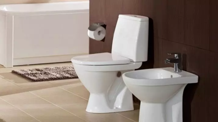 IFO Toalety: Recenzia Frisk a Arret, Cera a Sign, špeciálne a Hitta modely. Kompaktné, prívesy a iné návrhy 10511_8
