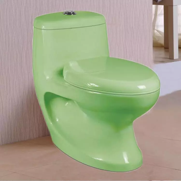 रंगीन शौचालय (53 फोटो): ग्रे और लाल, भूरे और मैट सफेद, नीले और हरे रंग के शौचालय के कटोरे का अवलोकन, निलंबित शौचालय के कटोरे के रंग 10512_21