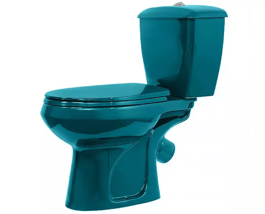 रंगीन शौचालय (53 फोटो): ग्रे और लाल, भूरे और मैट सफेद, नीले और हरे रंग के शौचालय के कटोरे का अवलोकन, निलंबित शौचालय के कटोरे के रंग 10512_38