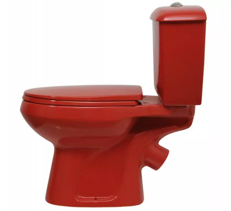 रंगीन शौचालय (53 फोटो): ग्रे और लाल, भूरे और मैट सफेद, नीले और हरे रंग के शौचालय के कटोरे का अवलोकन, निलंबित शौचालय के कटोरे के रंग 10512_39