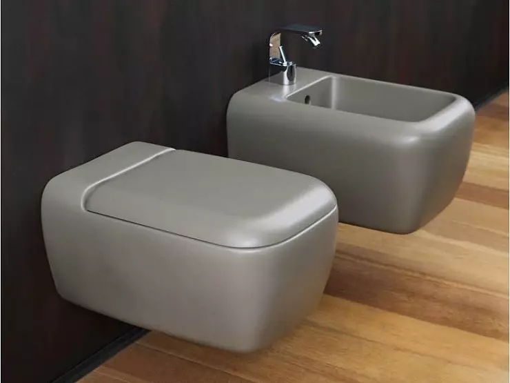 रंगीन शौचालय (53 फोटो): ग्रे और लाल, भूरे और मैट सफेद, नीले और हरे रंग के शौचालय के कटोरे का अवलोकन, निलंबित शौचालय के कटोरे के रंग 10512_40