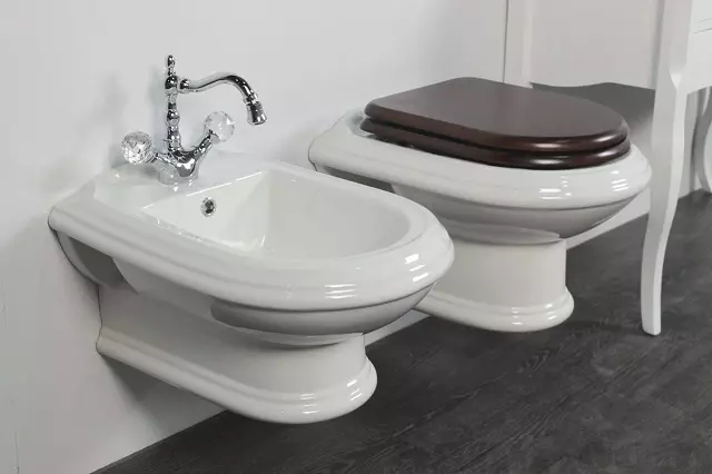 Ретро тоалетна: Семейства на тоалетната в стила на класическата ретро. Coileties-компактен и окачени тоалетни с високи топ резервоари, други модели 10518_10