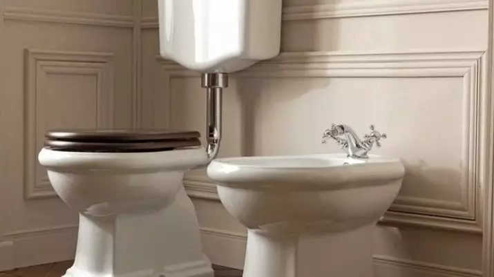 Ретро тоалетна: Семейства на тоалетната в стила на класическата ретро. Coileties-компактен и окачени тоалетни с високи топ резервоари, други модели 10518_12