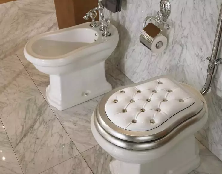 Ретро тоалетна: Семейства на тоалетната в стила на класическата ретро. Coileties-компактен и окачени тоалетни с високи топ резервоари, други модели 10518_19