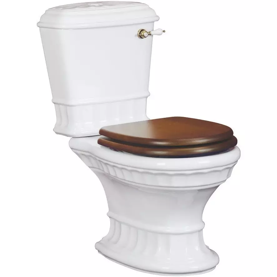 Ретро тоалетна: Семейства на тоалетната в стила на класическата ретро. Coileties-компактен и окачени тоалетни с високи топ резервоари, други модели 10518_22