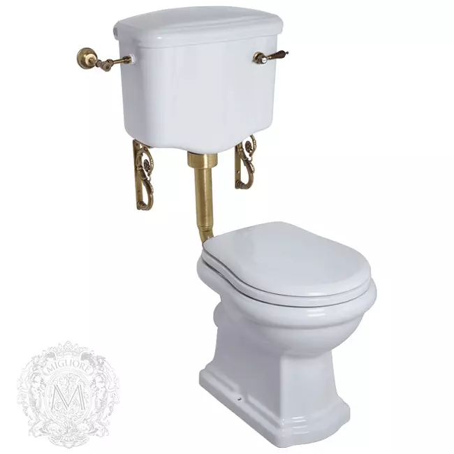 Ретро тоалетна: Семейства на тоалетната в стила на класическата ретро. Coileties-компактен и окачени тоалетни с високи топ резервоари, други модели 10518_23