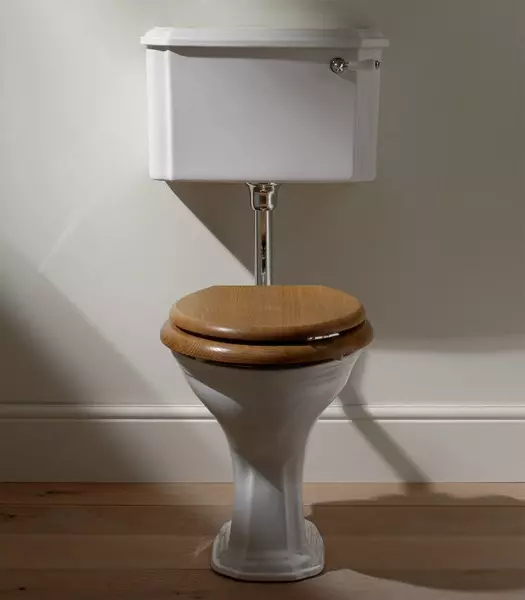 Ретро тоалетна: Семейства на тоалетната в стила на класическата ретро. Coileties-компактен и окачени тоалетни с високи топ резервоари, други модели 10518_27