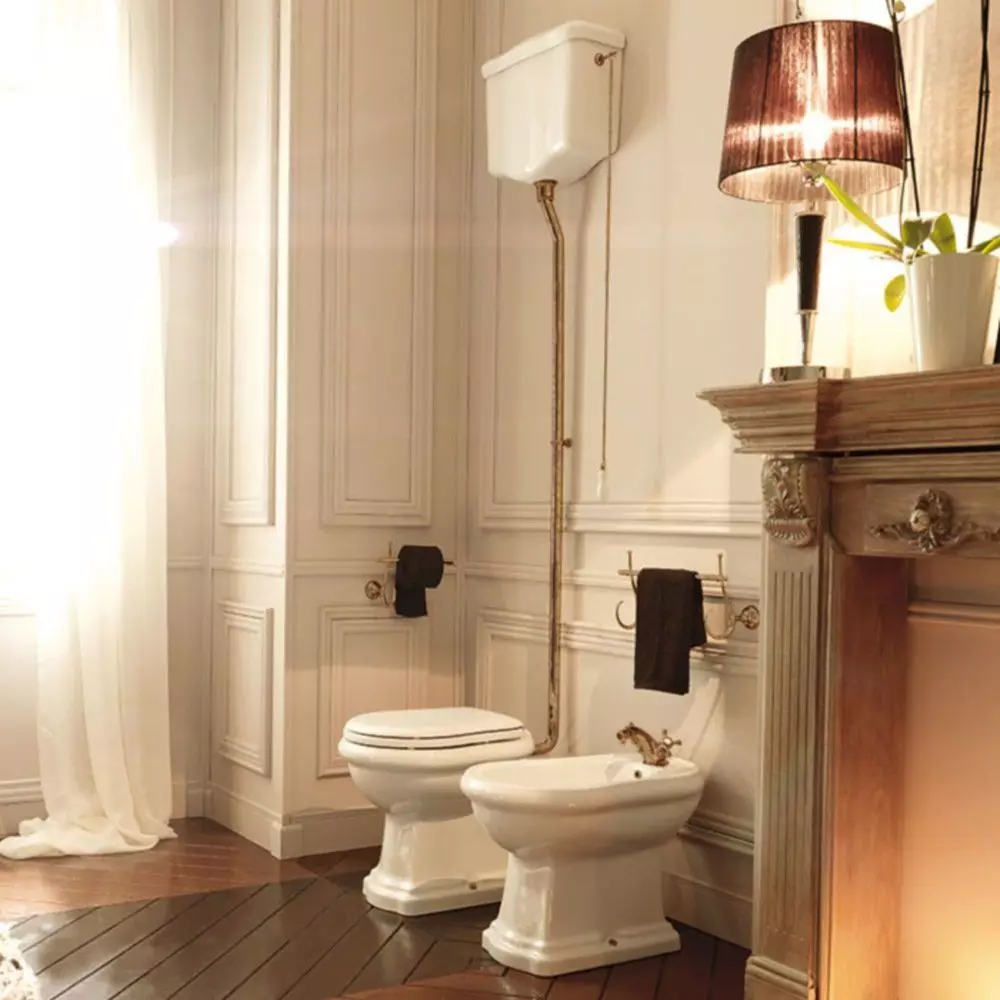 Ретро тоалетна: Семейства на тоалетната в стила на класическата ретро. Coileties-компактен и окачени тоалетни с високи топ резервоари, други модели 10518_3