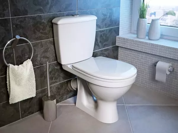 Jenis mangkuk toilet (30 foto): Hidangan persegi dan persegi panjang, jenis visor dan corong berbentuk mangkuk toilet. Fitur mereka 10519_13