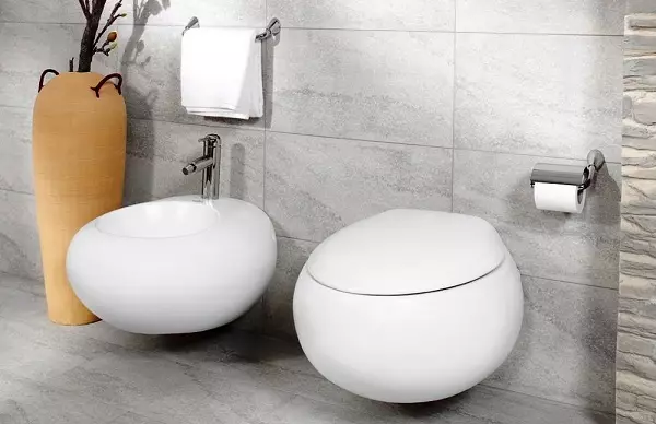 Jenis mangkuk toilet (30 foto): Hidangan persegi dan persegi panjang, jenis visor dan corong berbentuk mangkuk toilet. Fitur mereka 10519_20