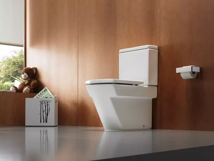 Jenis mangkuk toilet (30 foto): Hidangan persegi dan persegi panjang, jenis visor dan corong berbentuk mangkuk toilet. Fitur mereka 10519_3