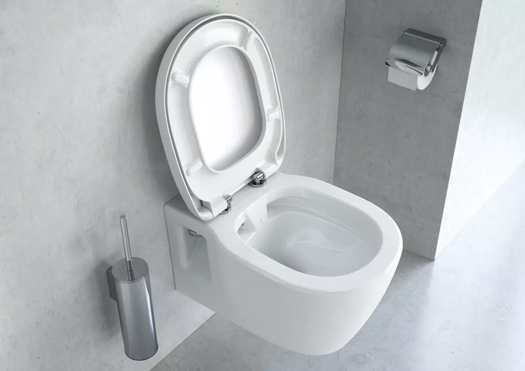 Jenis mangkuk toilet (30 foto): Hidangan persegi dan persegi panjang, jenis visor dan corong berbentuk mangkuk toilet. Fitur mereka 10519_30