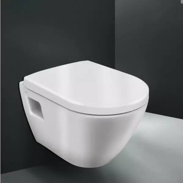 AM.PM toilet: Paglalarawan ng suspensyon toilet jump at mga modelo ng gem compact, pamilya tulad at kamangha-mangha, espiritu at hit, mga review 10520_12