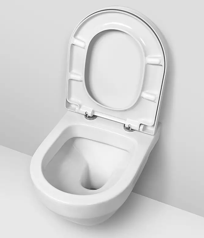 AM.PM toilet: Paglalarawan ng suspensyon toilet jump at mga modelo ng gem compact, pamilya tulad at kamangha-mangha, espiritu at hit, mga review 10520_23