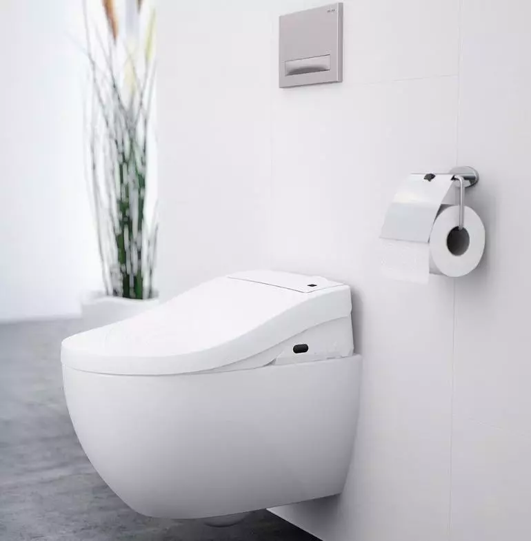 Am.pm tualetid: Suspension WC hüpata ja Gem Compact'i mudelite kirjeldus, Perekonnad ja Awe, Vaimu ja tabamuse, ülevaateid 10520_28