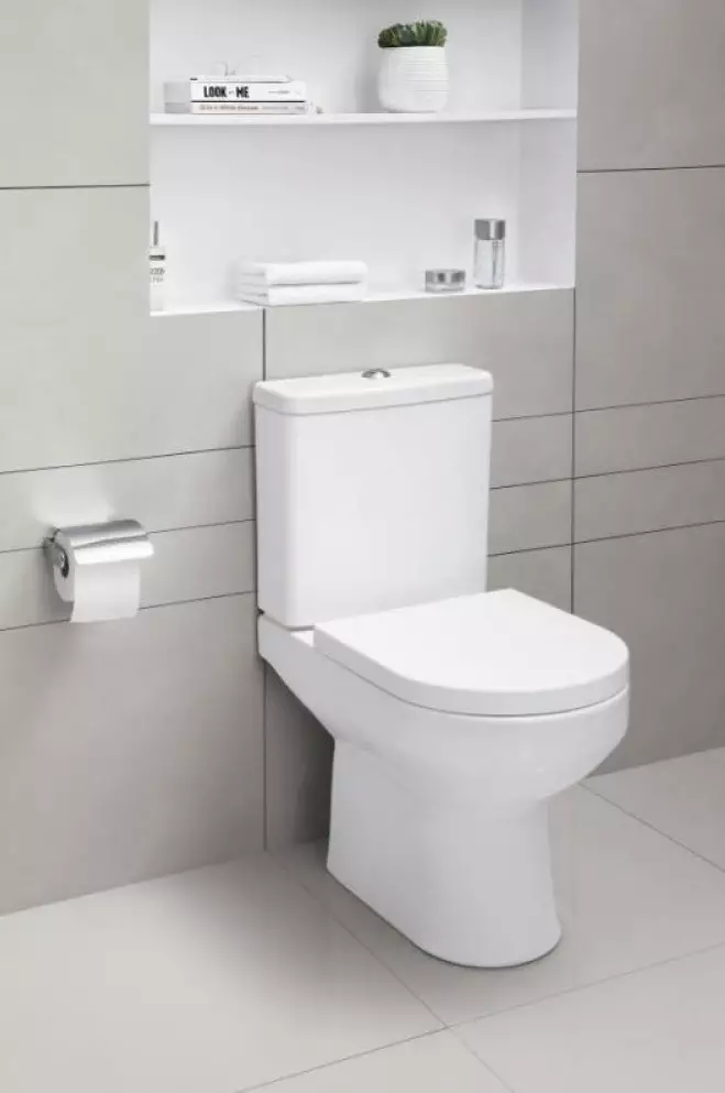AM.PM toilet: Paglalarawan ng suspensyon toilet jump at mga modelo ng gem compact, pamilya tulad at kamangha-mangha, espiritu at hit, mga review 10520_30
