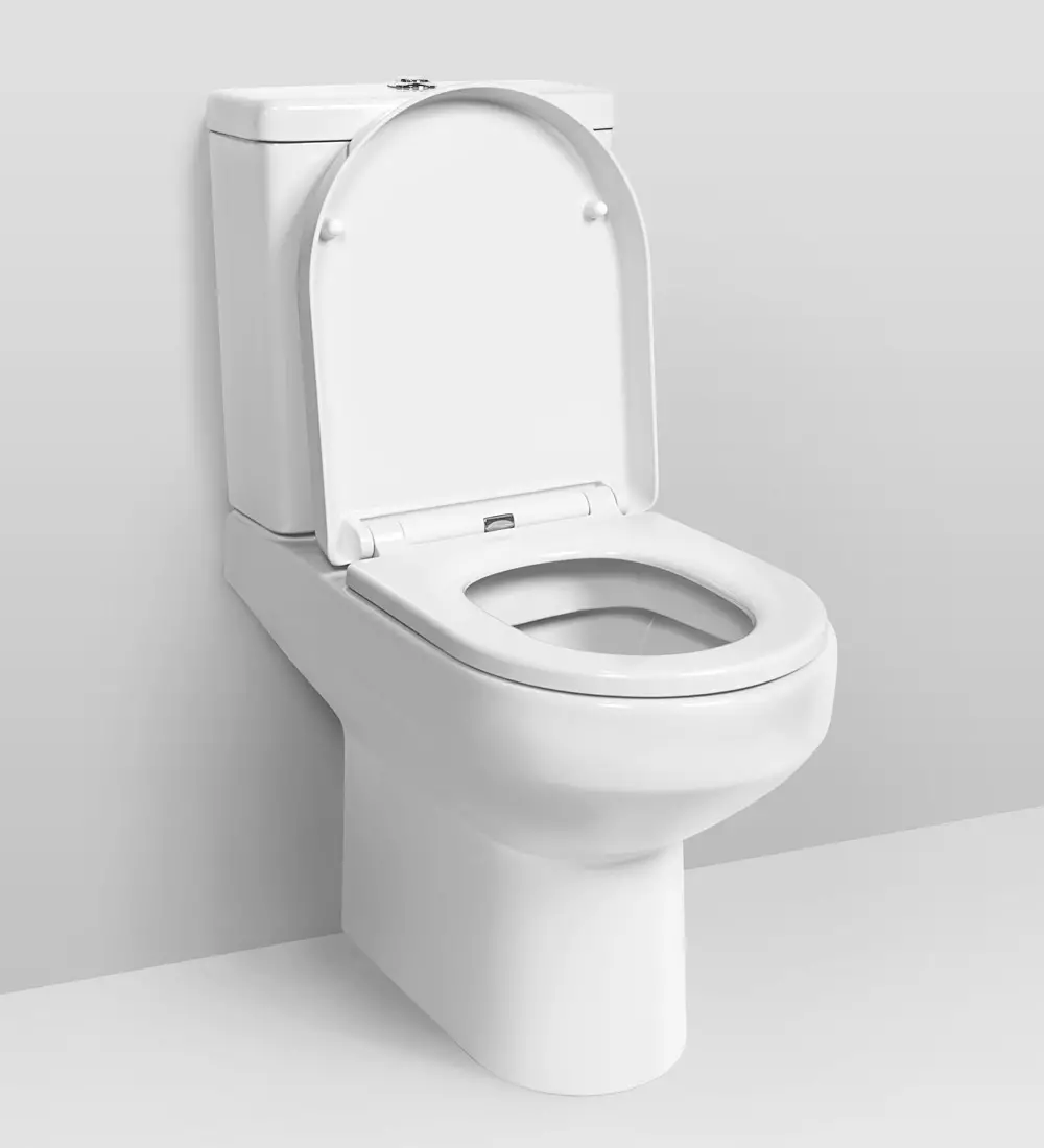 Am.pm tualetid: Suspension WC hüpata ja Gem Compact'i mudelite kirjeldus, Perekonnad ja Awe, Vaimu ja tabamuse, ülevaateid 10520_31