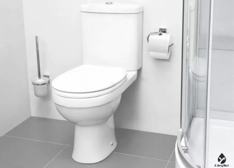 AM.PM toilet: Paglalarawan ng suspensyon toilet jump at mga modelo ng gem compact, pamilya tulad at kamangha-mangha, espiritu at hit, mga review 10520_36
