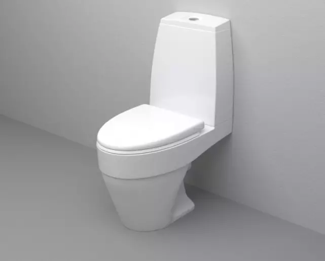Am.pm tualetid: Suspension WC hüpata ja Gem Compact'i mudelite kirjeldus, Perekonnad ja Awe, Vaimu ja tabamuse, ülevaateid 10520_38