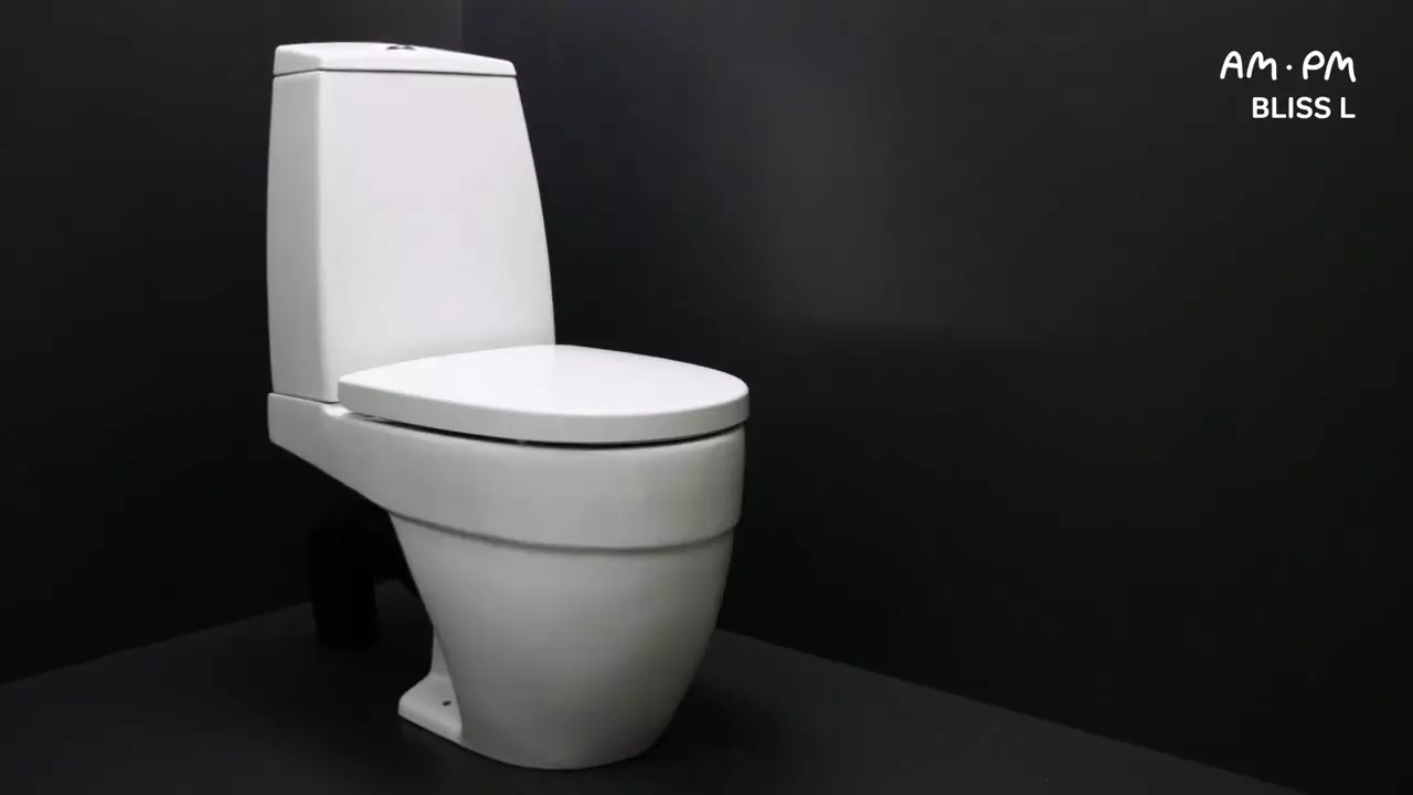 AM.PM tualetləri: Asma tualetinin atlanmasının təsviri və gem kompakt, ailələrin və qorxu, ruh və hit, rəylər 10520_4