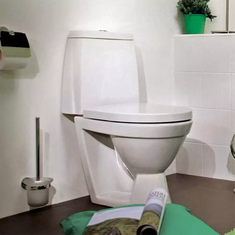 AM.PM toilet: Paglalarawan ng suspensyon toilet jump at mga modelo ng gem compact, pamilya tulad at kamangha-mangha, espiritu at hit, mga review 10520_40