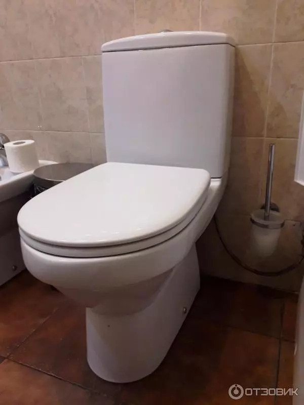 AM.PM toilet: Paglalarawan ng suspensyon toilet jump at mga modelo ng gem compact, pamilya tulad at kamangha-mangha, espiritu at hit, mga review 10520_43
