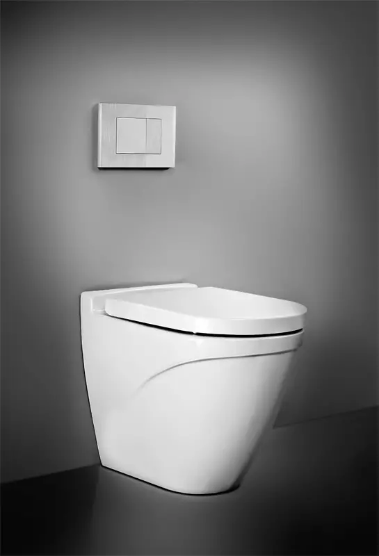 Am.pm tualetid: Suspension WC hüpata ja Gem Compact'i mudelite kirjeldus, Perekonnad ja Awe, Vaimu ja tabamuse, ülevaateid 10520_46