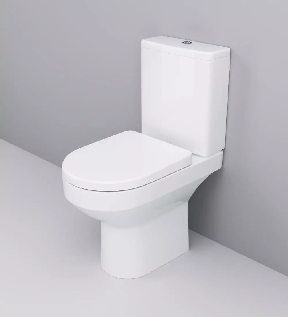 Am.pm tualetid: Suspension WC hüpata ja Gem Compact'i mudelite kirjeldus, Perekonnad ja Awe, Vaimu ja tabamuse, ülevaateid 10520_9