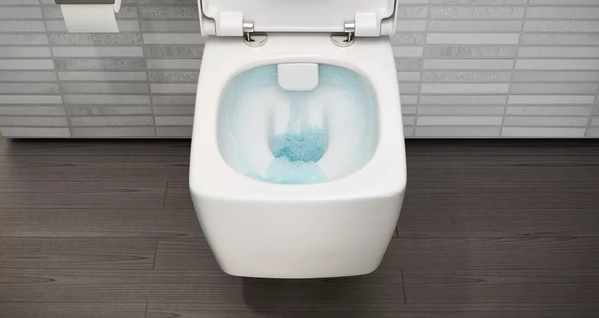 VITRA Toalete: Caracteristici de toalete turcești suspendate și furioase, revizuirea modelelor Zentrum și Sento, Arkitekt Corner Toaletă cu capac și outdoor Serenada, recenzii 10522_10