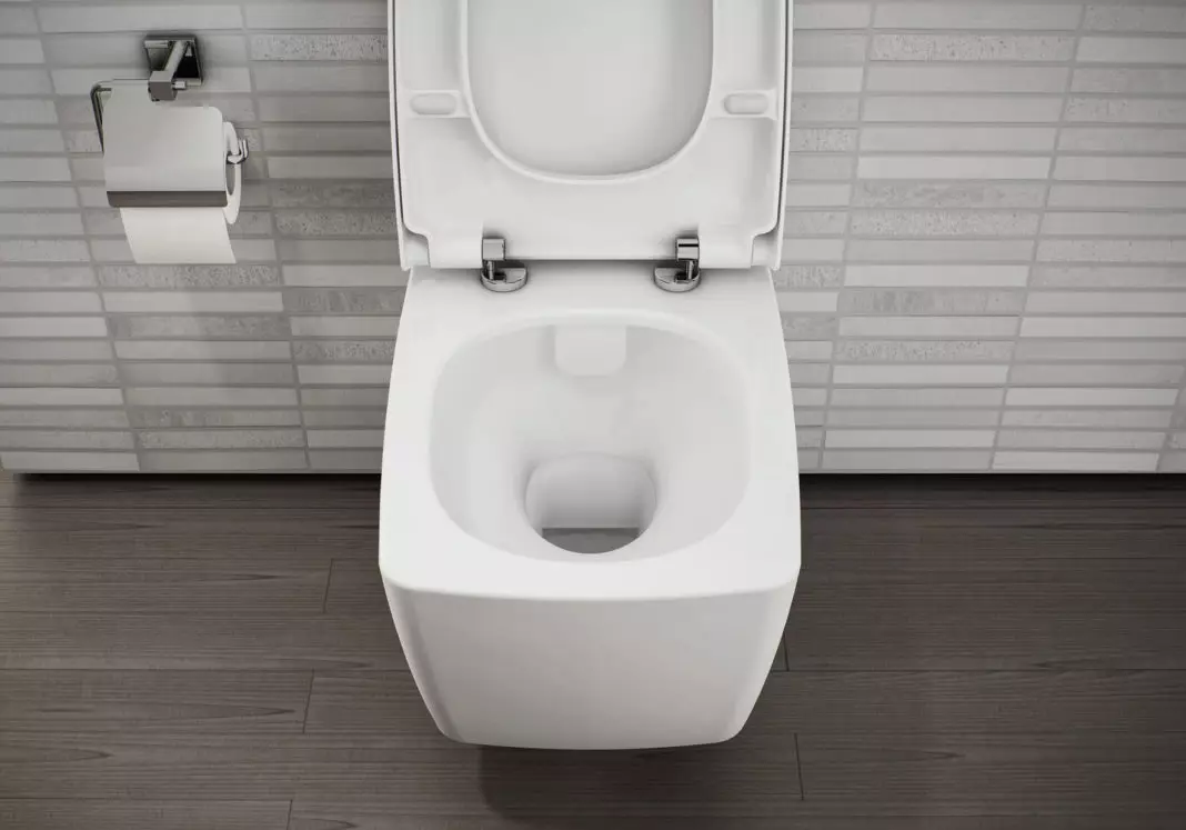 विट्रा शौचालय: निलंबित और उग्र तुर्की शौचालयों की विशेषताएं, मॉडल ज़ेंट्रम और सेंटो की समीक्षा, ढक्कन और आउटडोर सेरेनाडा के साथ Arkitekt कॉर्नर शौचालय, समीक्षा 10522_11