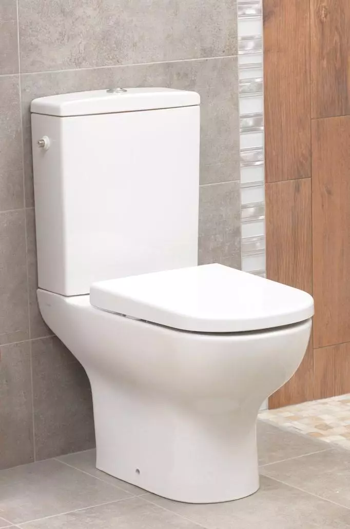 VITRA Toalete: Caracteristici de toalete turcești suspendate și furioase, revizuirea modelelor Zentrum și Sento, Arkitekt Corner Toaletă cu capac și outdoor Serenada, recenzii 10522_22
