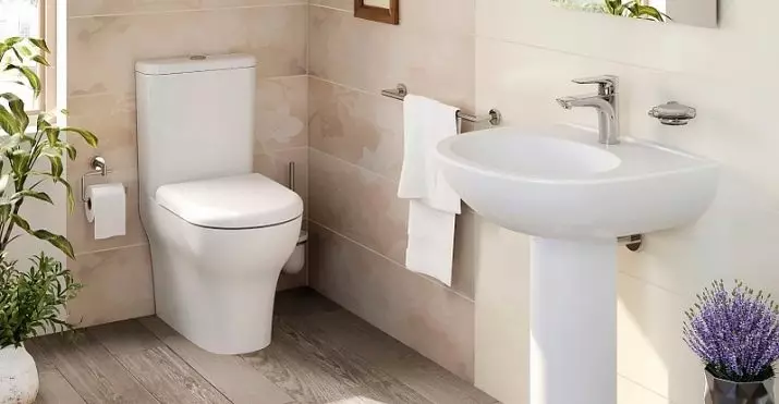 Vitra toaleta: Karakteristike suspendiranih i žestoki turski WC, Pregled modela Zentrum i Sento, Arkitekt Corner wc s poklopcem i vanjskim Serenada, recenzije 10522_24