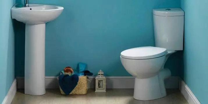 VITRA Toalete: Caracteristici de toalete turcești suspendate și furioase, revizuirea modelelor Zentrum și Sento, Arkitekt Corner Toaletă cu capac și outdoor Serenada, recenzii 10522_25