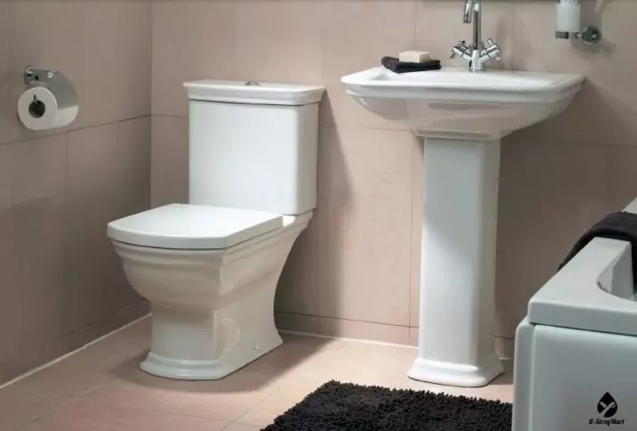 VITRA Toalete: Caracteristici de toalete turcești suspendate și furioase, revizuirea modelelor Zentrum și Sento, Arkitekt Corner Toaletă cu capac și outdoor Serenada, recenzii 10522_26