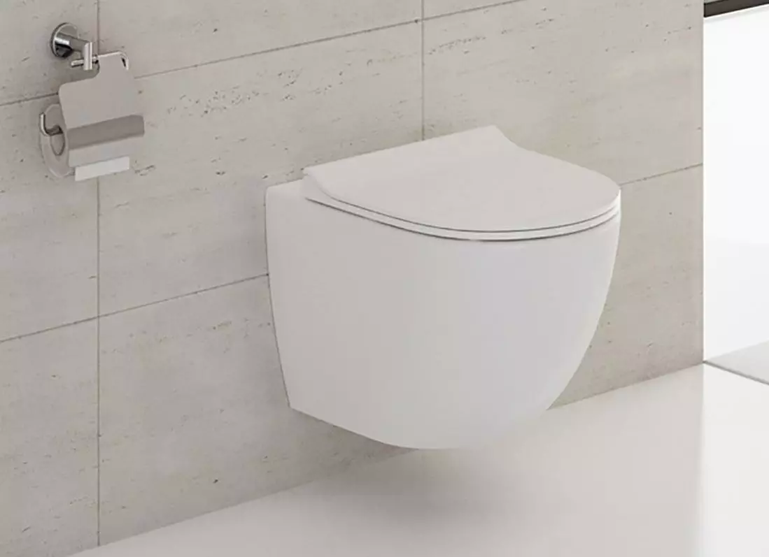 VITRA Toalete: Caracteristici de toalete turcești suspendate și furioase, revizuirea modelelor Zentrum și Sento, Arkitekt Corner Toaletă cu capac și outdoor Serenada, recenzii 10522_3