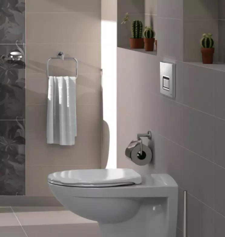 VITRA Toalete: Caracteristici de toalete turcești suspendate și furioase, revizuirea modelelor Zentrum și Sento, Arkitekt Corner Toaletă cu capac și outdoor Serenada, recenzii 10522_31